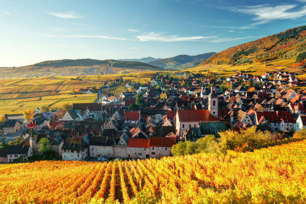 Route des vins d'Alsace automne