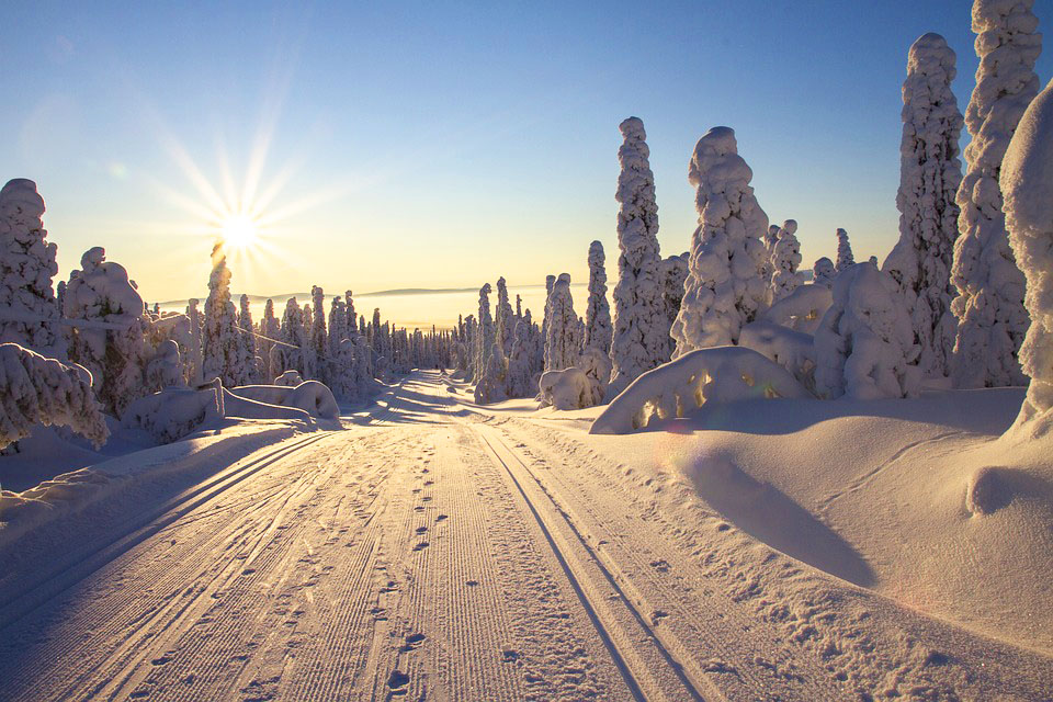 Un week-end en Laponie finlandaise